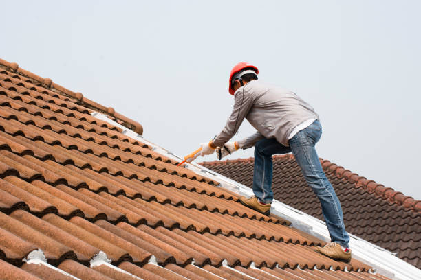 Best Rubber Roofing (EPDM, TPO)  in Eldridge, IA