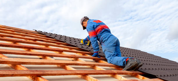 Best Gutter Installation and Repair  in Eldridge, IA