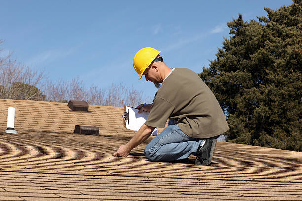 Best Asphalt Shingle Roofing  in Eldridge, IA